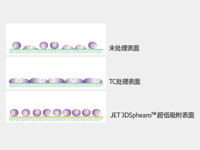 超低吸附表面具有共價(jià)結(jié)合的水凝膠層，具有極強(qiáng)的抗蛋白吸附性和抗細(xì)胞貼壁性，可有效抑制細(xì)胞附著