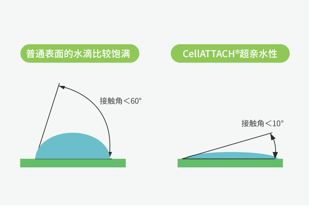獨(dú)特的超親水表面處理技術(shù)，能為細(xì)胞提供更好的吸附性，促進(jìn)細(xì)胞快速貼壁生長(zhǎng)，提高產(chǎn)量